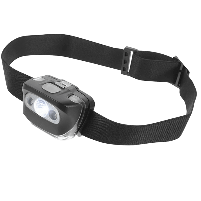 Almindelig pandelampe